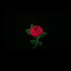 dippy_kim