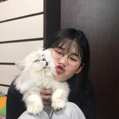 양수지