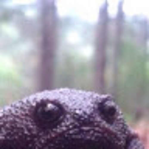 Симпл Димпл Нет Поп Ит - Phonk Remix