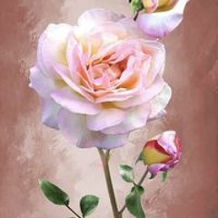Sa Ma