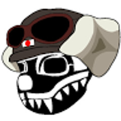 ssnn