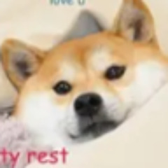 DogeTheRee