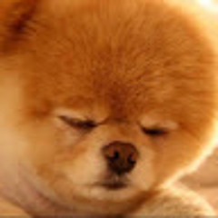 User 160253606