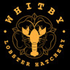 Whitby Lobster Hatchery