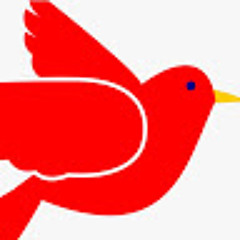 Red Bird