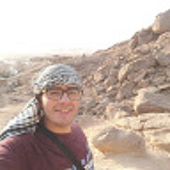 Mohamad Elsharawy