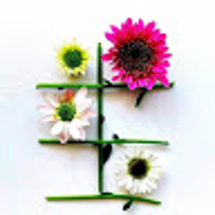 محمد عبدالفتاح