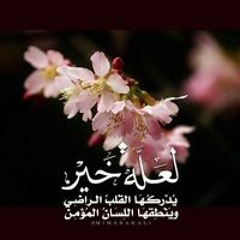فتحيه المال