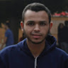 Ahmed Elraqawey