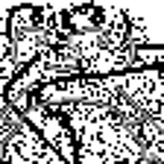 *+|ZiLl|+*