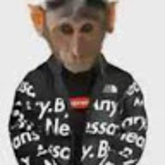 Where Are The Askers S Stream