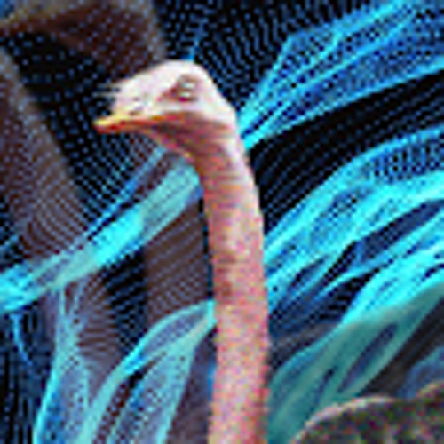 Subatomic_ostrich’s avatar