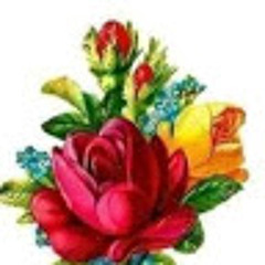 Manal Nabil
