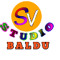 shree Vinayak Studio