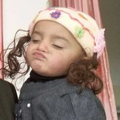 Shameer Rehman