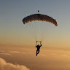 skydiviniger