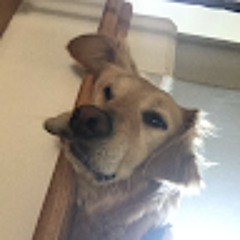 YungBee