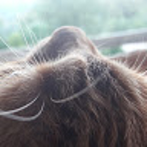 Stream Lil peep ft Juice WRLD Just in Case (remastered by vlex) + You're my everything by