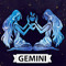 Gimini Squad