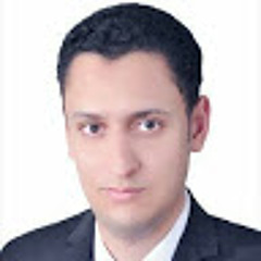 alaa mahmoud