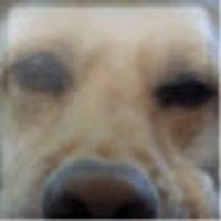 Someone Just Said Go White Boy Go Quackity Audio By Xbox 360 Dog