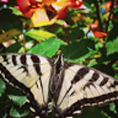 19 As Forças Verdadeiras - Max Mello E Suzan