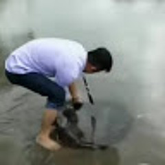 Deep subba🌷🌷🌷🌷