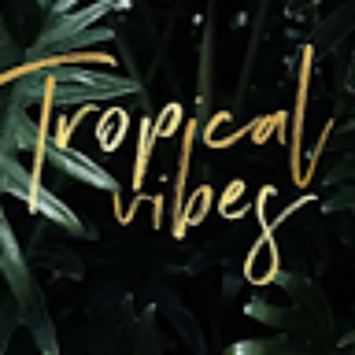 Tropical vibes’s avatar