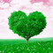 My Nature TV And Music