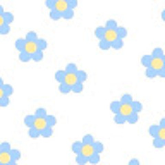 WONDERLAND  perfect wide hips  fill in hip dips subliminal.mp3