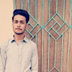 Zia Shahid