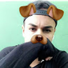 Joao Schutt