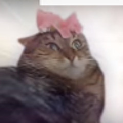 motalan