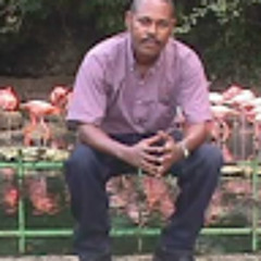 Willy Terlius