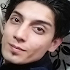 aliasghar neli