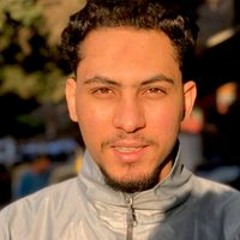 Hesham A. Fathe