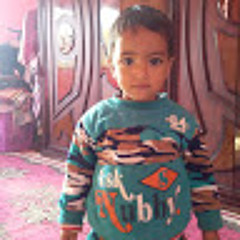 سفير