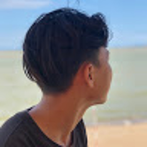 Nguyen Vo’s avatar
