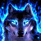 blue wolf