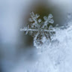 2412SINDRI
