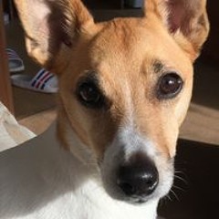 BarryC