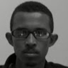 Tareq Labn