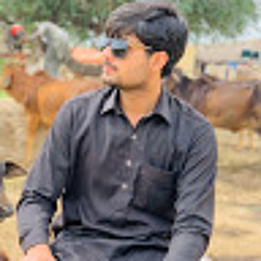 Hamza Manzoor