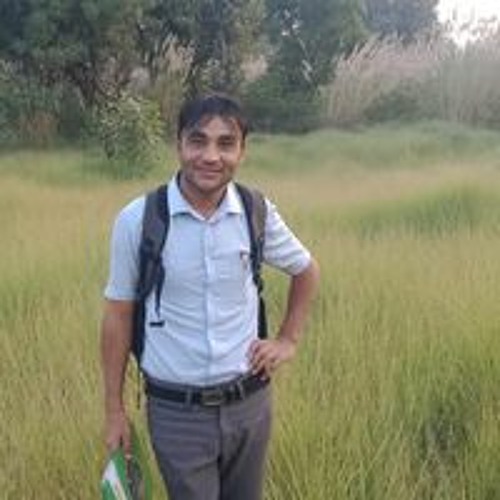 Roshan Arzoo Baltistani’s avatar
