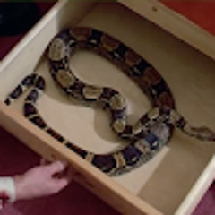 ˚˚MMWAHHH:30: n DUMMYCOOL