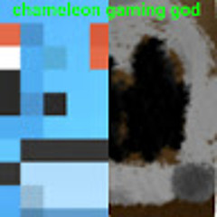 chameleon gaming god