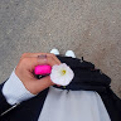 زينب الغزالي الروابدة