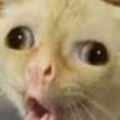 12กิตติภพ ค้าแหวน