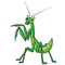 it's a Mantis