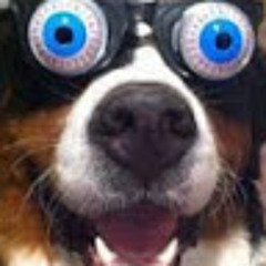 יוסף ברונשטיין